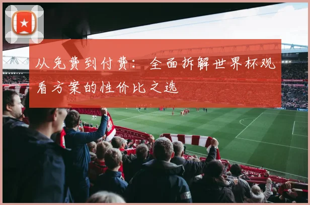 从免费到付费：全面拆解世界杯观看方案的性价比之选